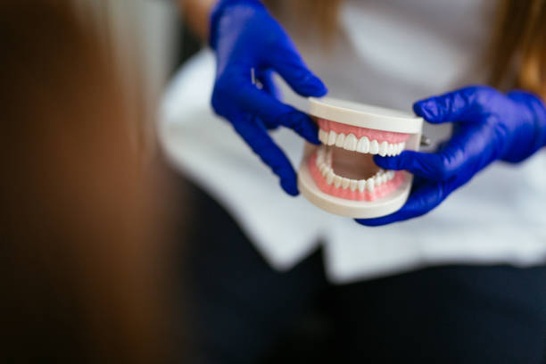 Trusted Kingsport, TN Dental Services Experts