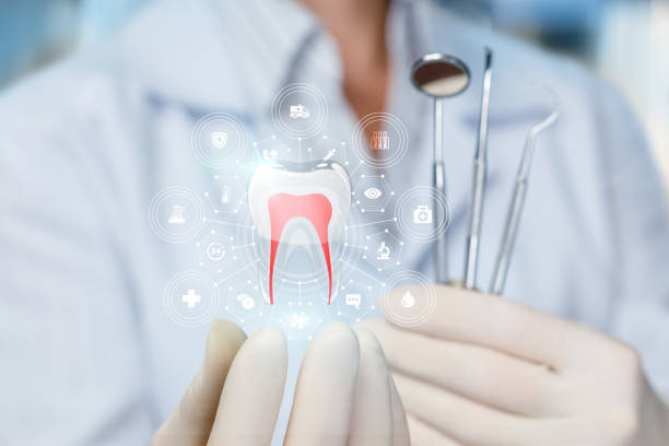 Best Pediatric Dentistry  in Kingsport, TN